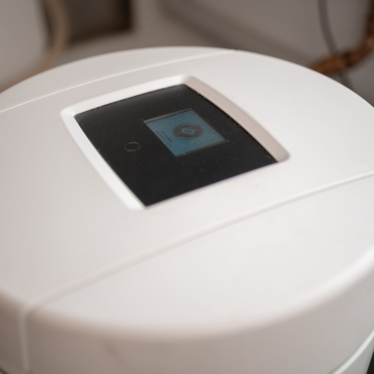 DSC02983 1280x1280 - Fotos