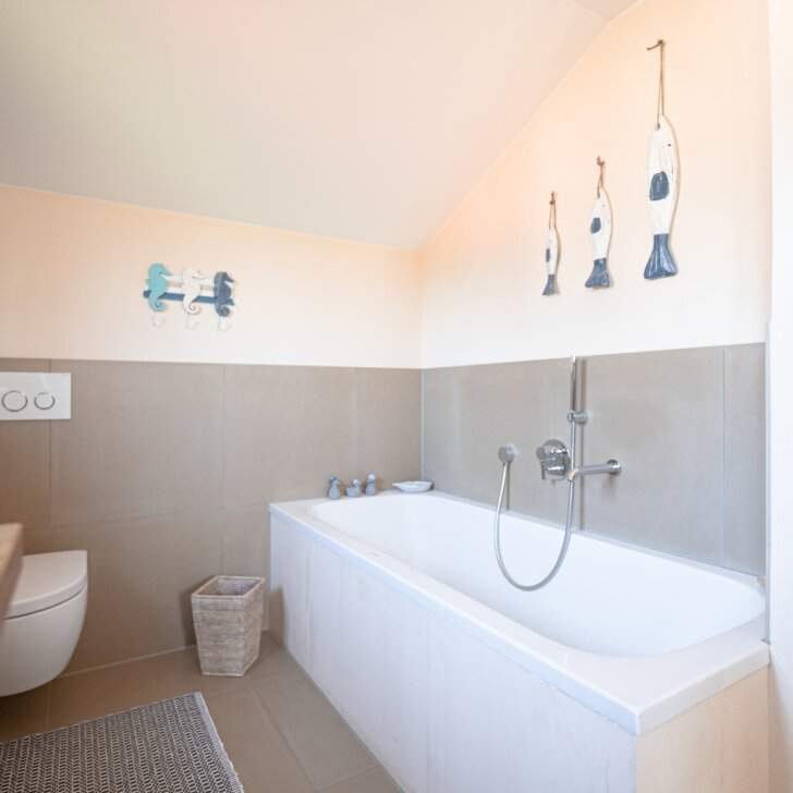 Startseite DSC03034 728x728 - Startseite