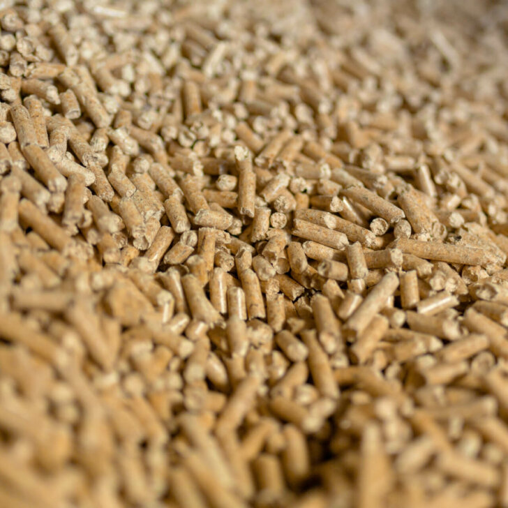 Startseite OZ 6778 728x728 - Startseite